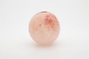春分 花瓶 圖片 1