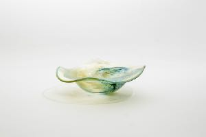 習草 波浪盤 圖片 1
