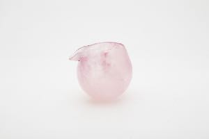 春分 酒壺 圖片 1