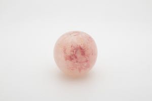 春分 花瓶 圖片 1