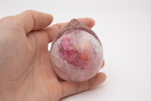 水果 水蜜桃 圖片 1